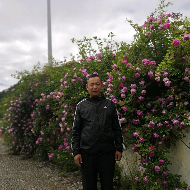 知足常乐