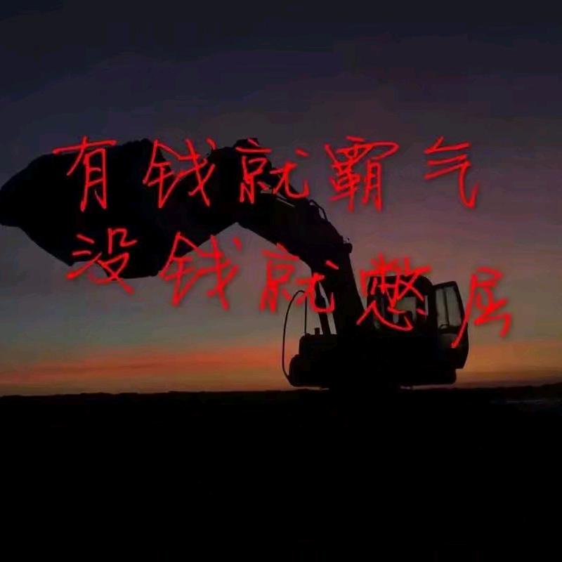 挖掘机搬运工