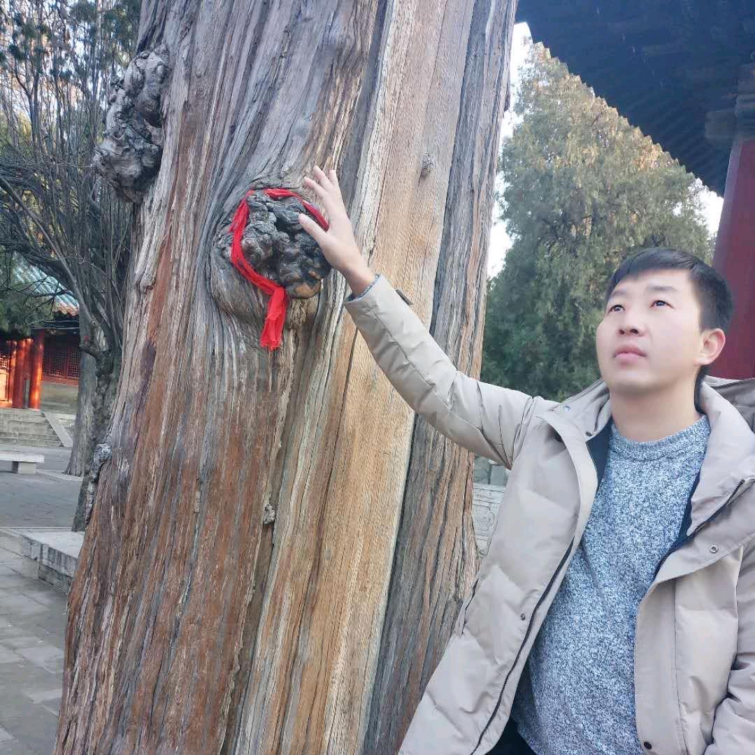 淡忘