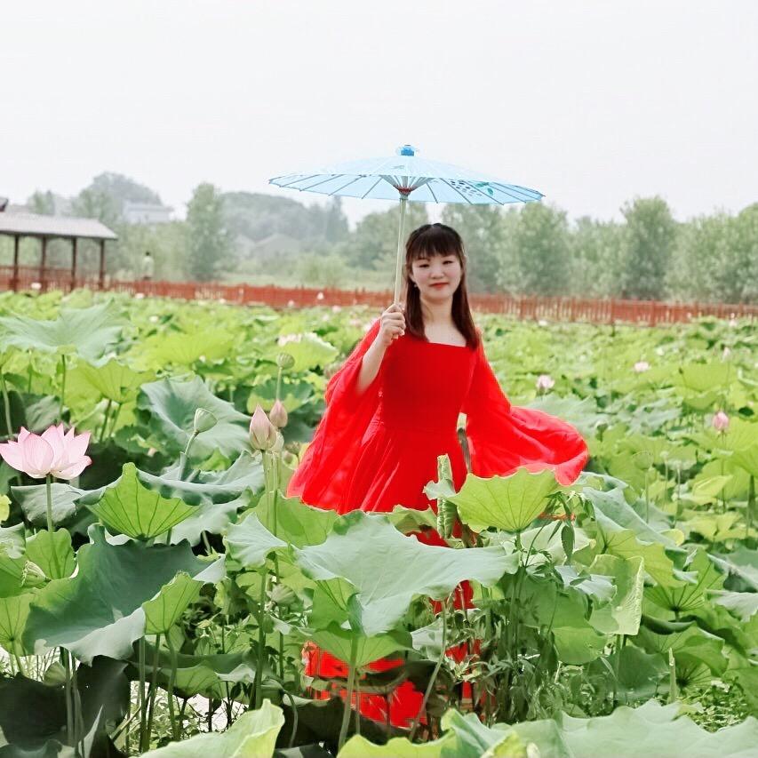 子非鱼🧚‍♀️