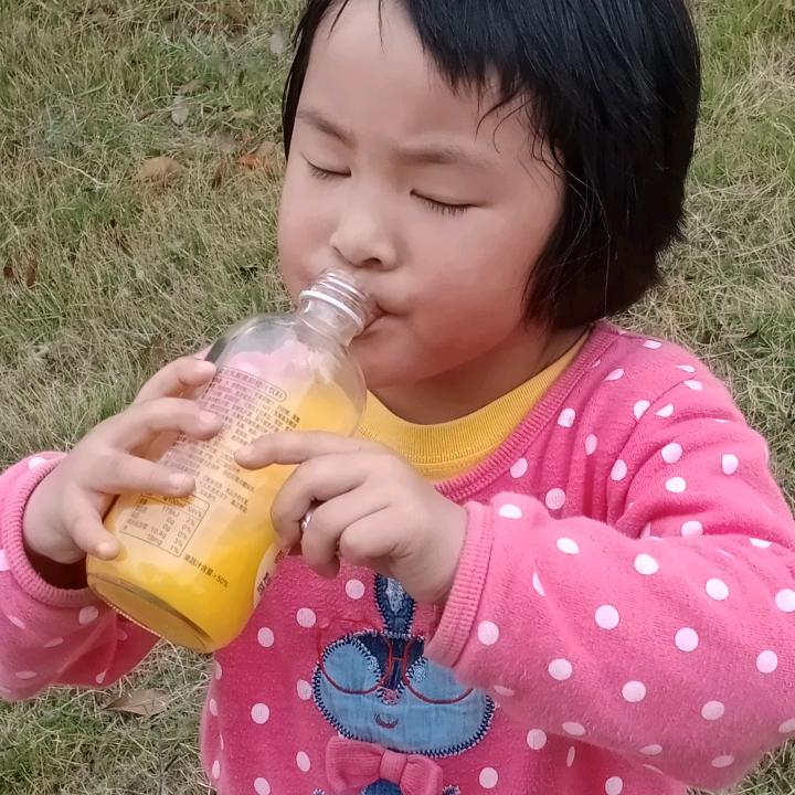 勤劳的小蜜蜂