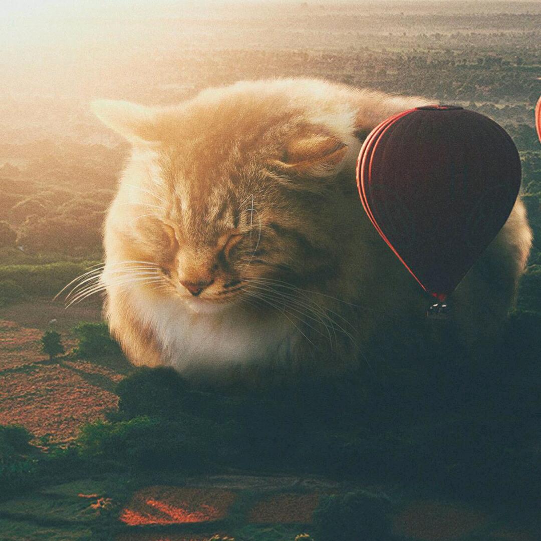 爱皱眉的严先森