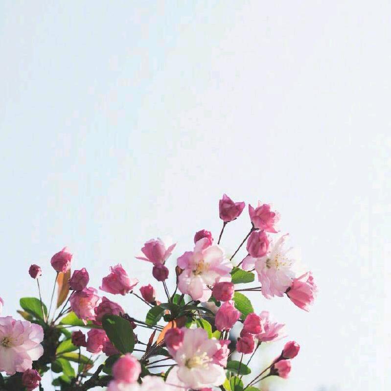 七