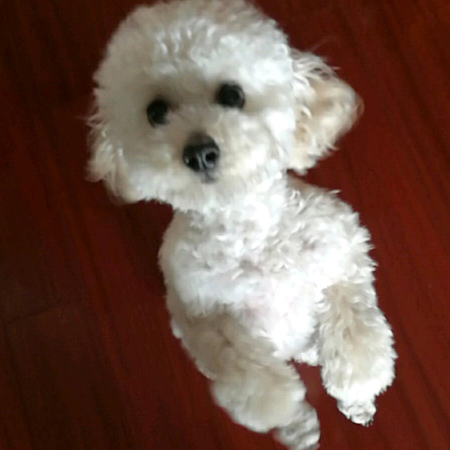 daiyu🌸