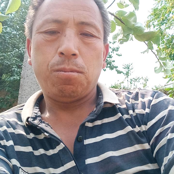 紫色的香烟