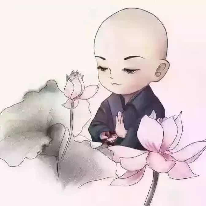 蚊子