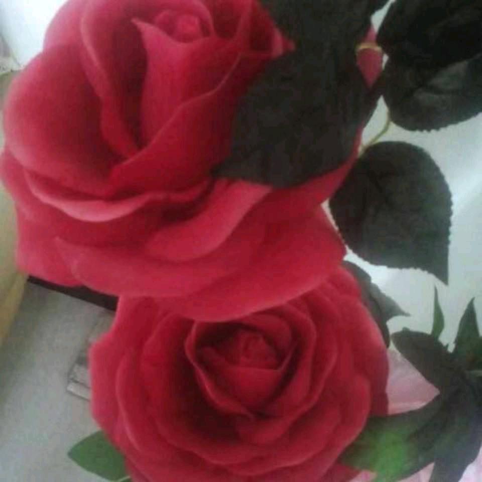 守着太阳守着你