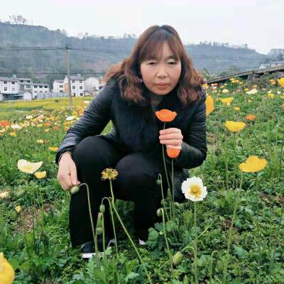 用户朋友天天开心