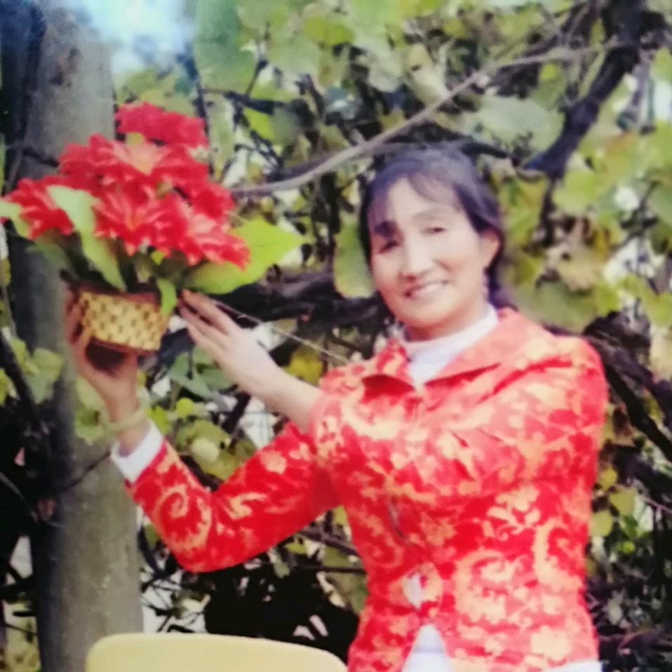 开心大姐
