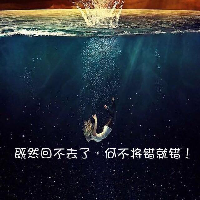 Y小猪