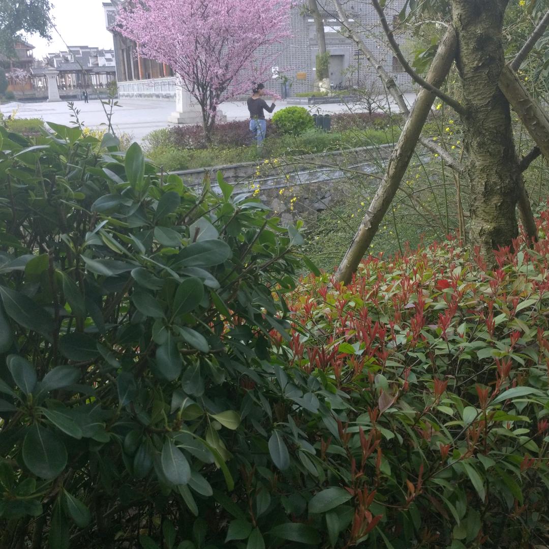 平安是福