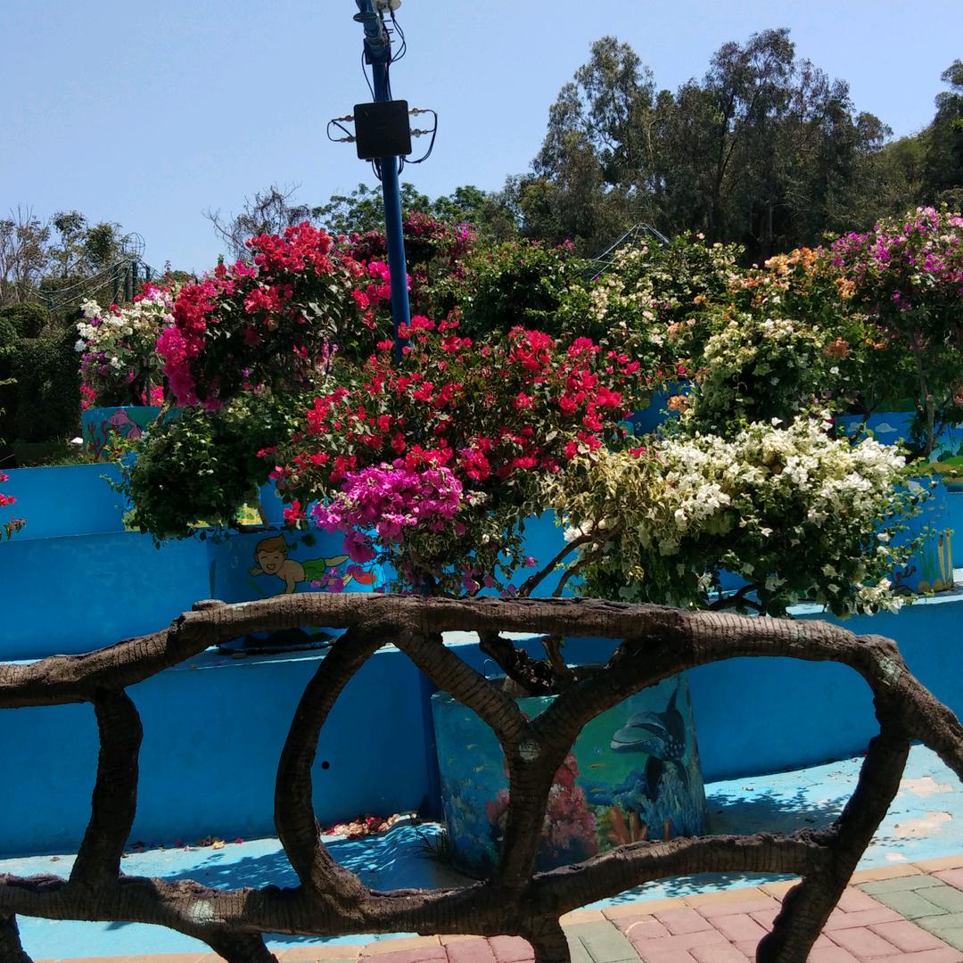 杨婷