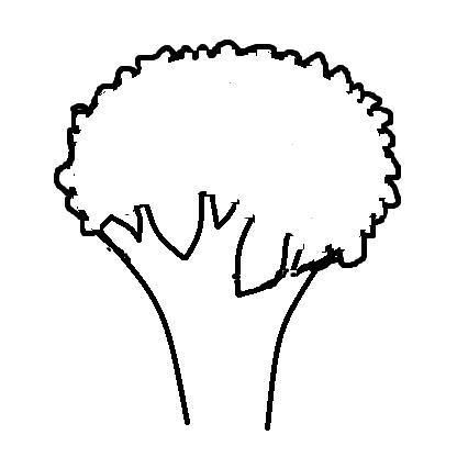 现代乐府音乐学校小马