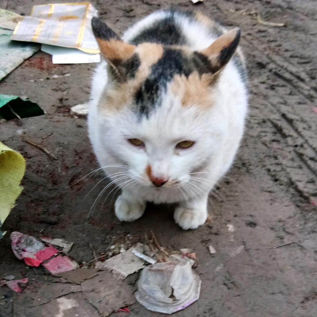 小娟儿  记录生活