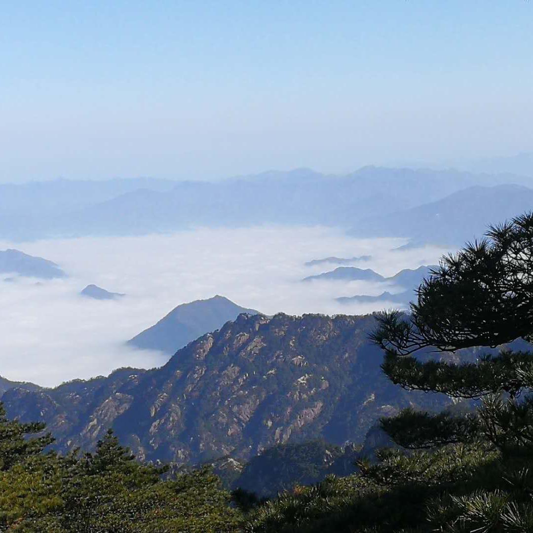 金色阳光
