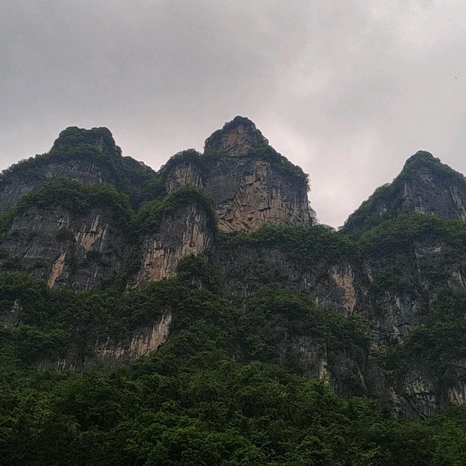 柴油燃烧的青春