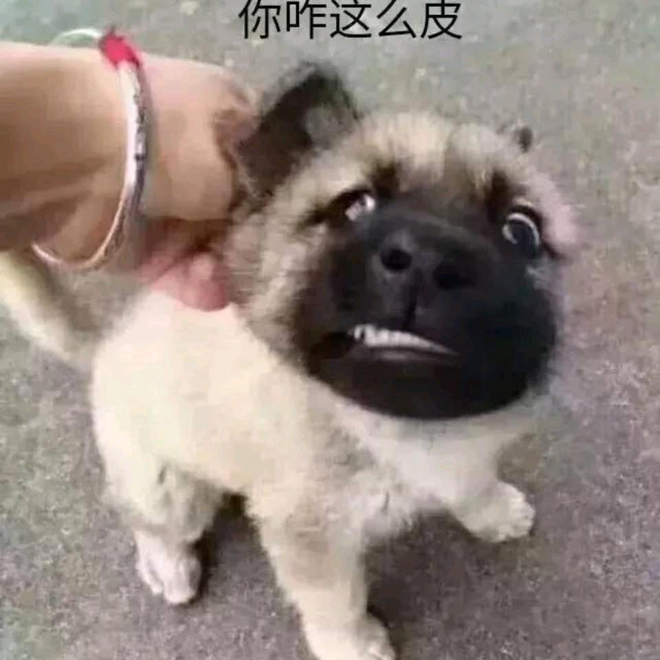 星  辰