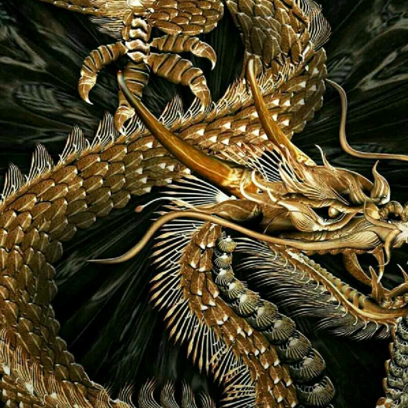 且行且努力～～马