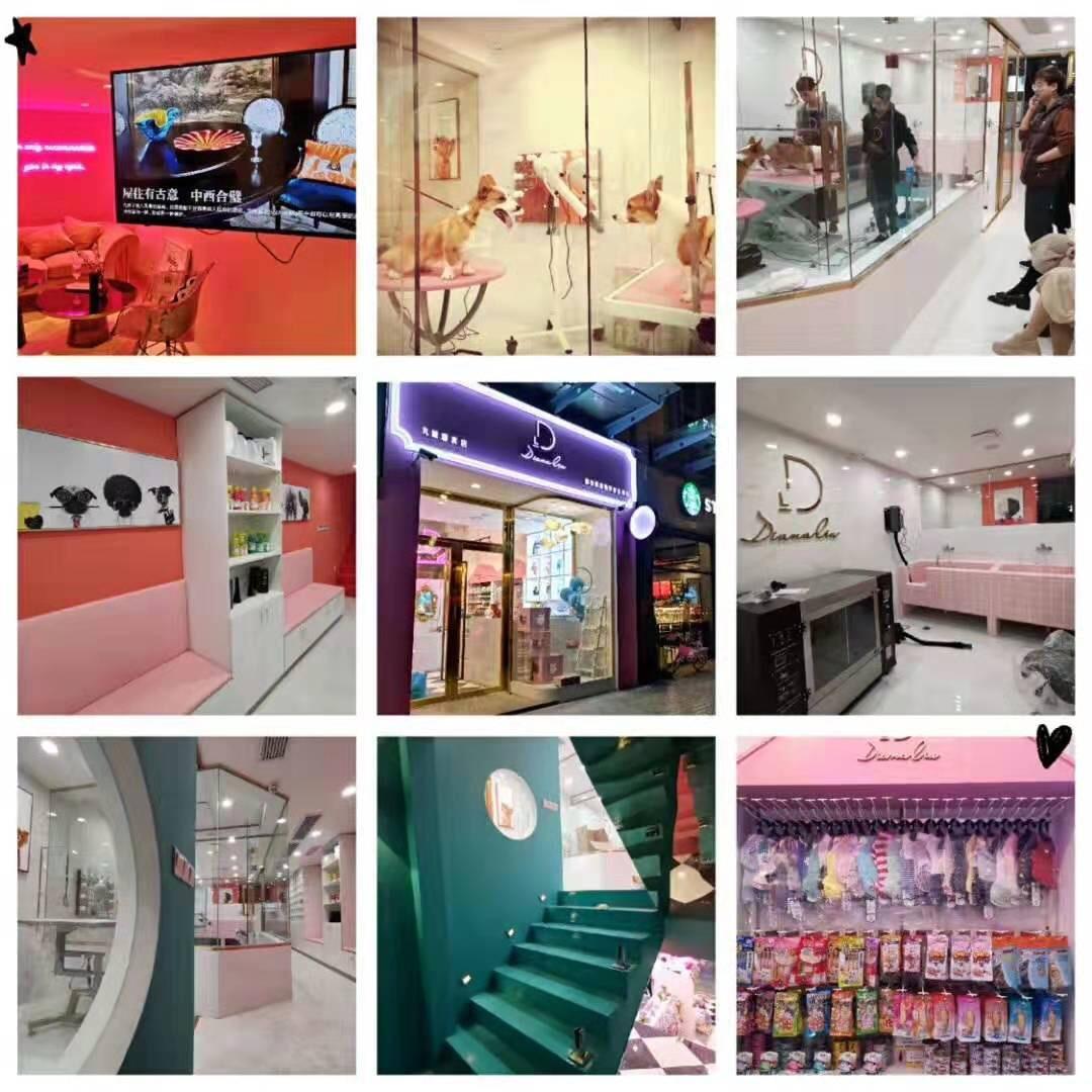 戴安娜宠物美容