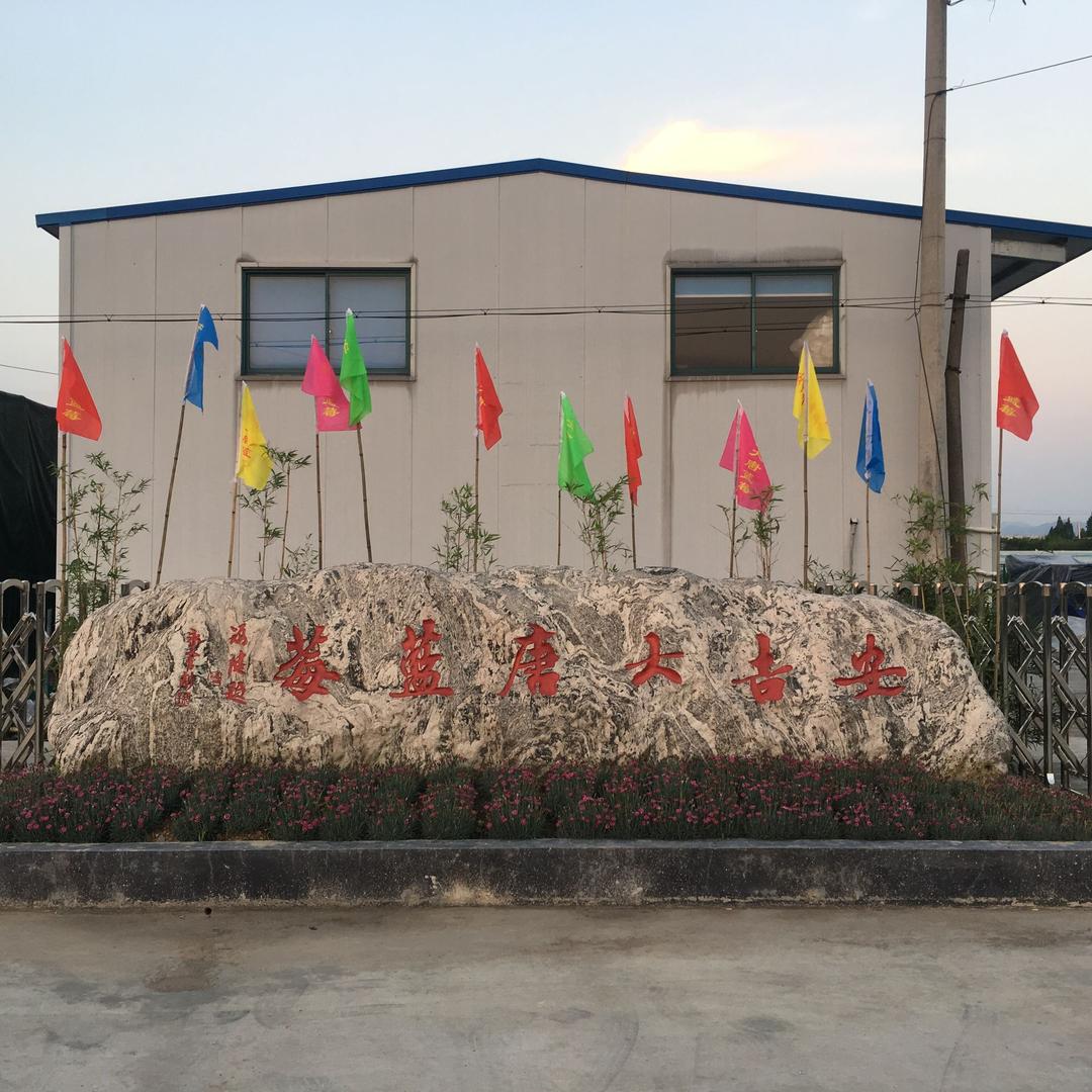 安吉大唐有机蓝莓采摘基地