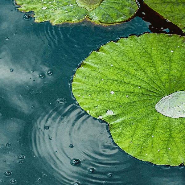 气候何总