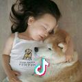 大尾巴兔