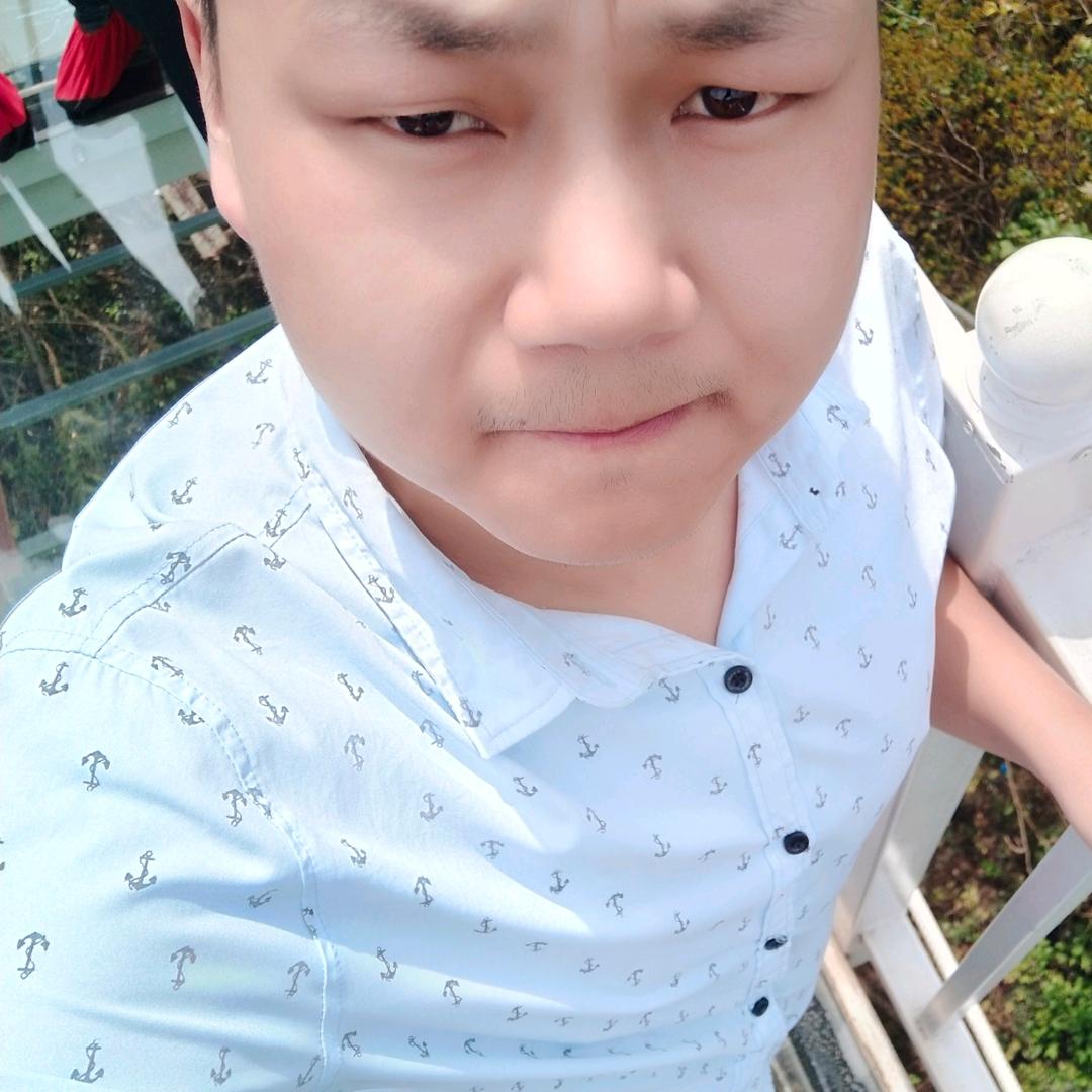 龍飛