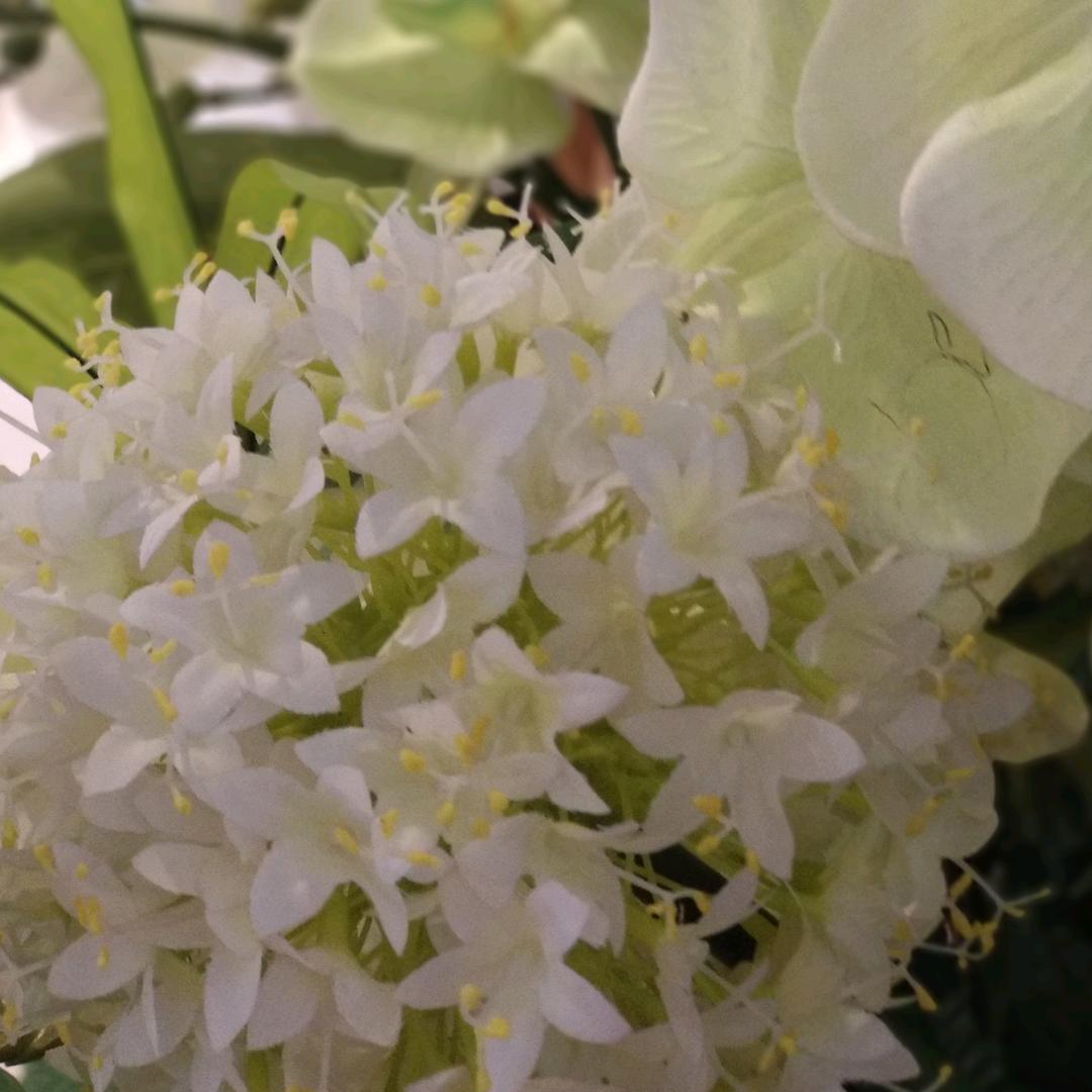 🌈初遇美甲🌈家家利超市店