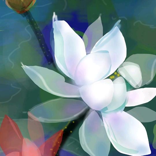 吴芳