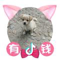 悠悠