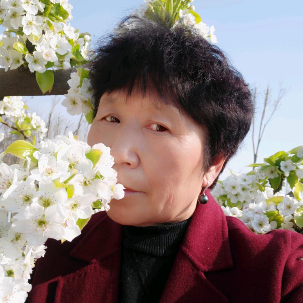 一片云