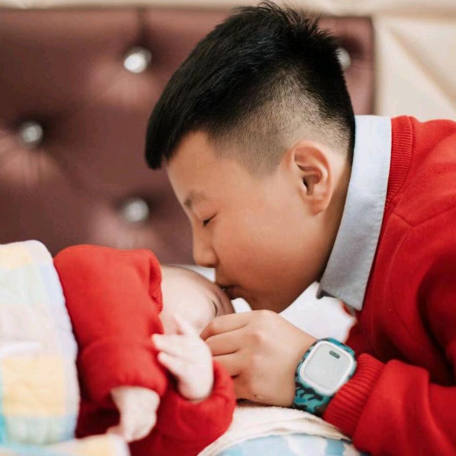 杨梅
