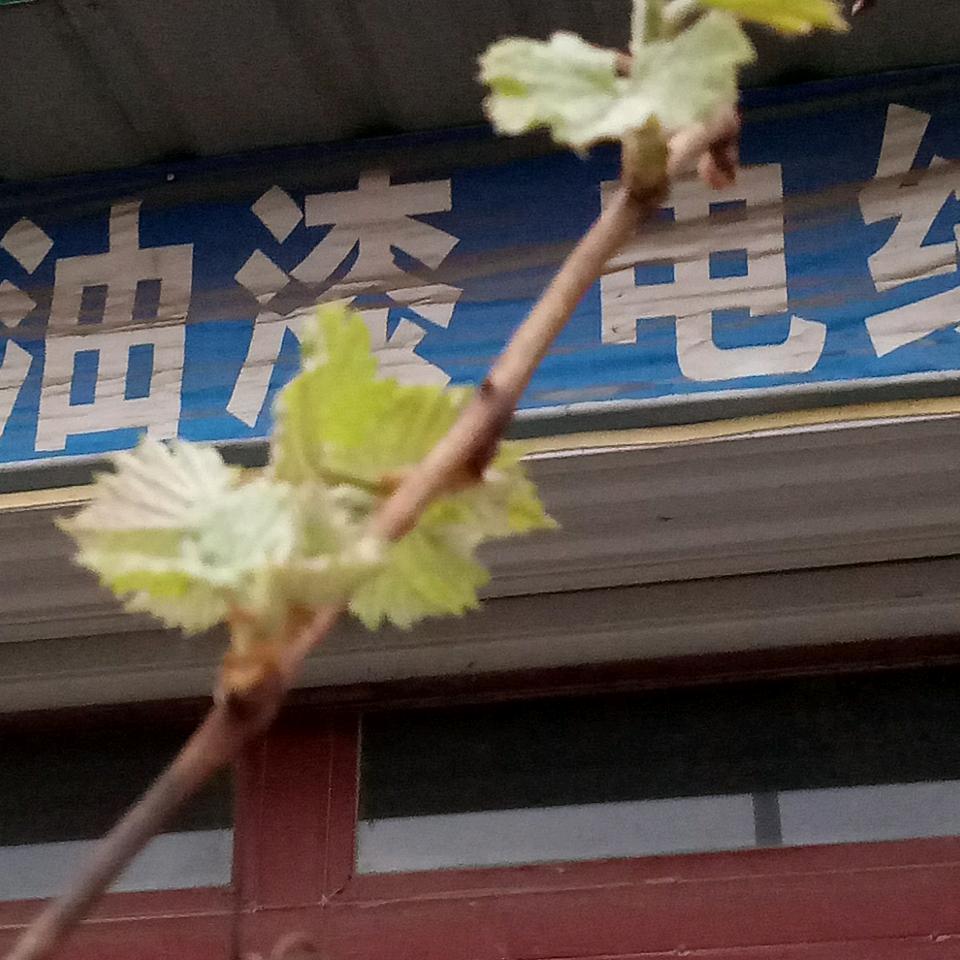 凤华五金