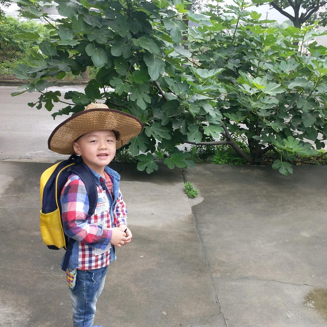 陈利聪
