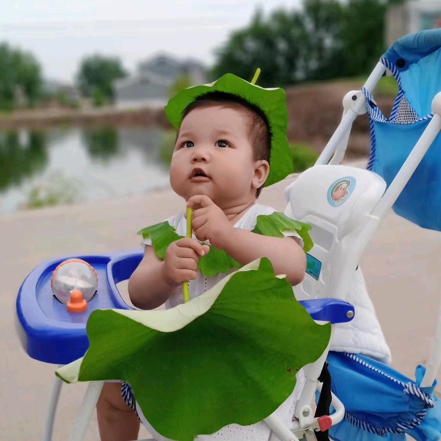 罗七理八
