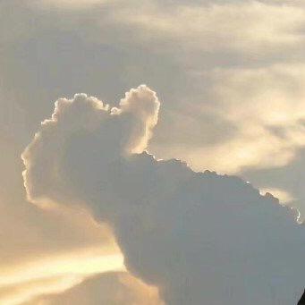 你好像仙女下凡