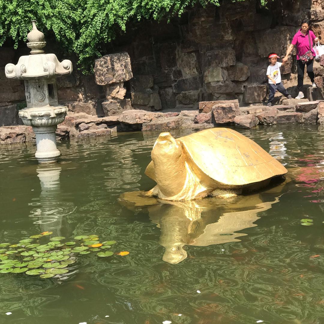 🌱 ʜᴇʟʟᴏ 夏天 ☀️