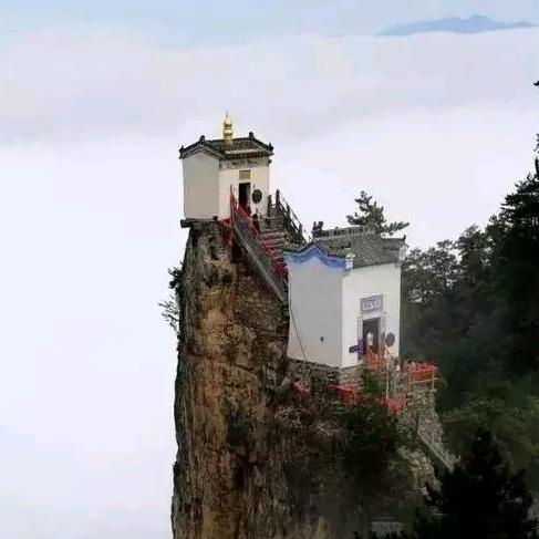 老贾带你咥