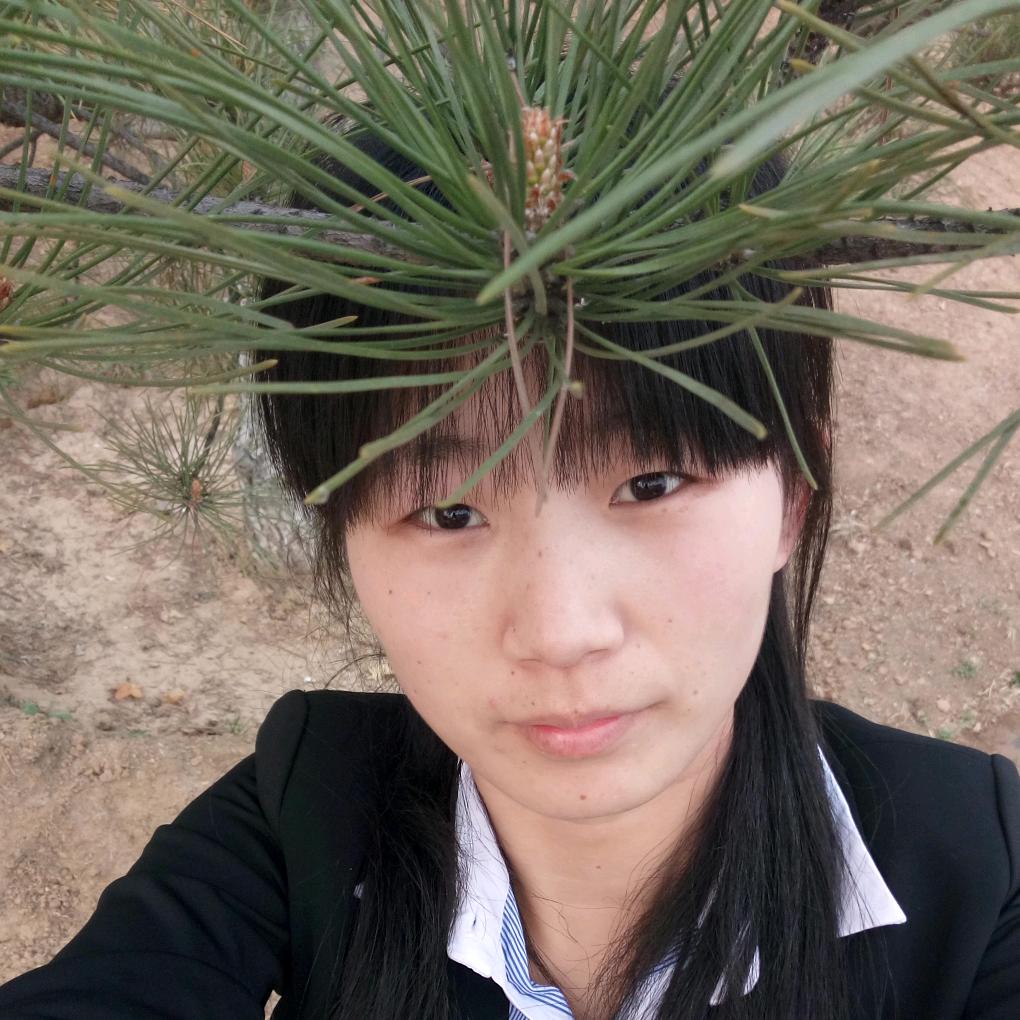 冰雪飞舞_242384034