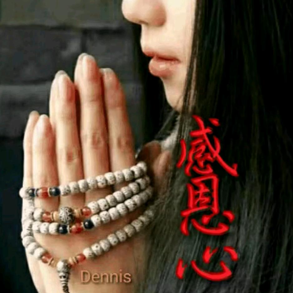 菩提本无树（阿美）