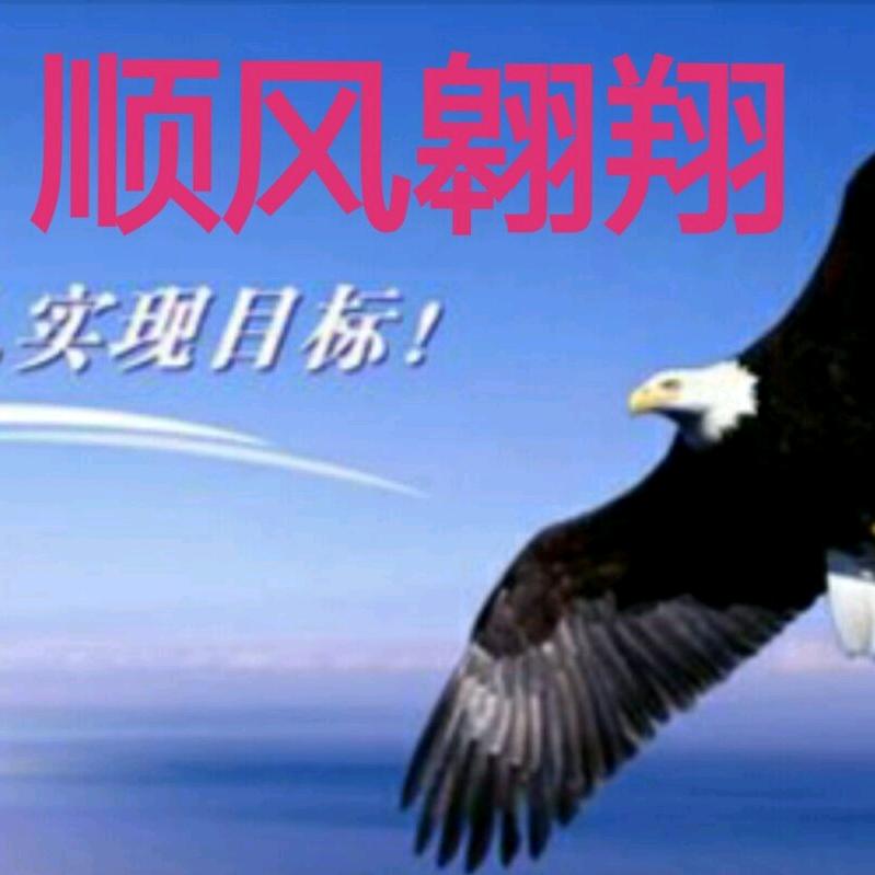 顺风翱翔