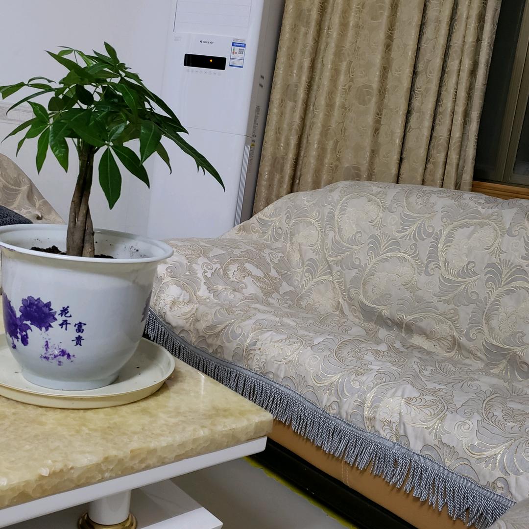 登峰挖机