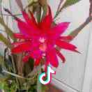 心静如水235400002