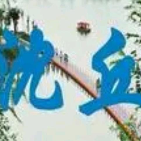 沈丘人 在家乡