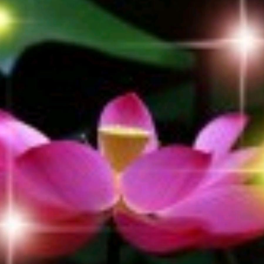 萍水相逢（萍）