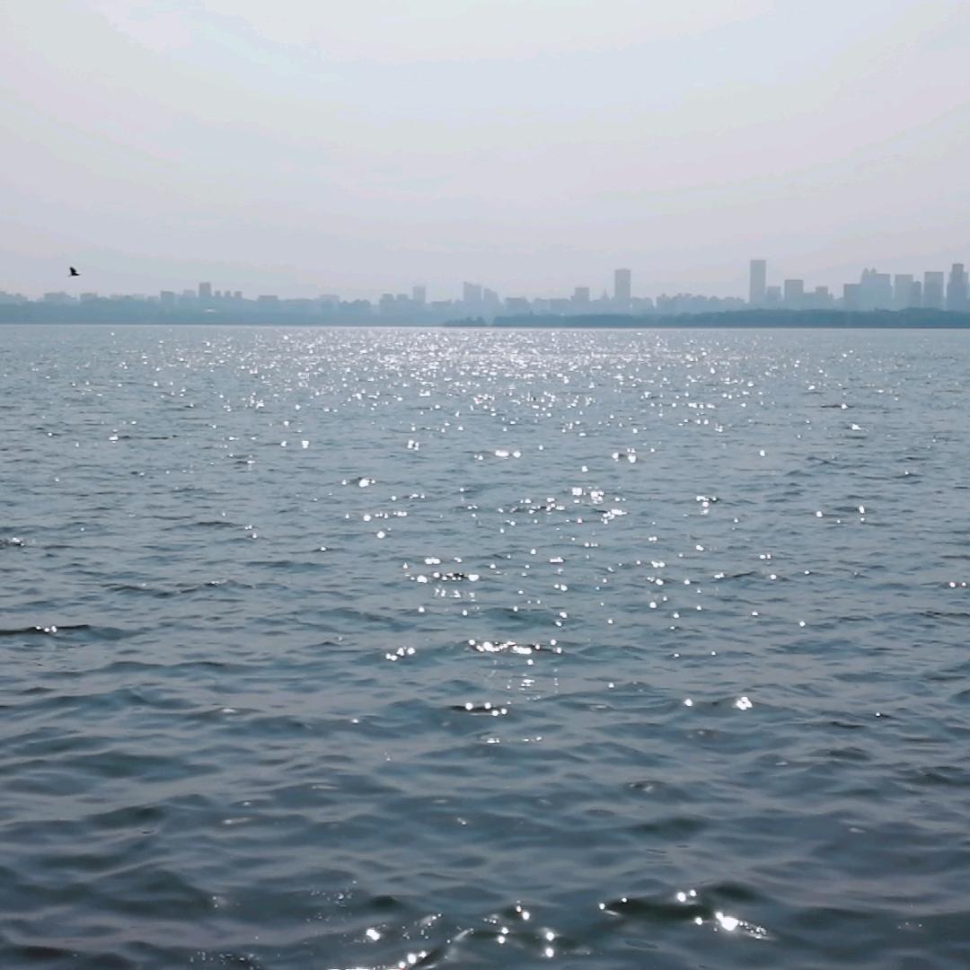 乌鸦坐飞机