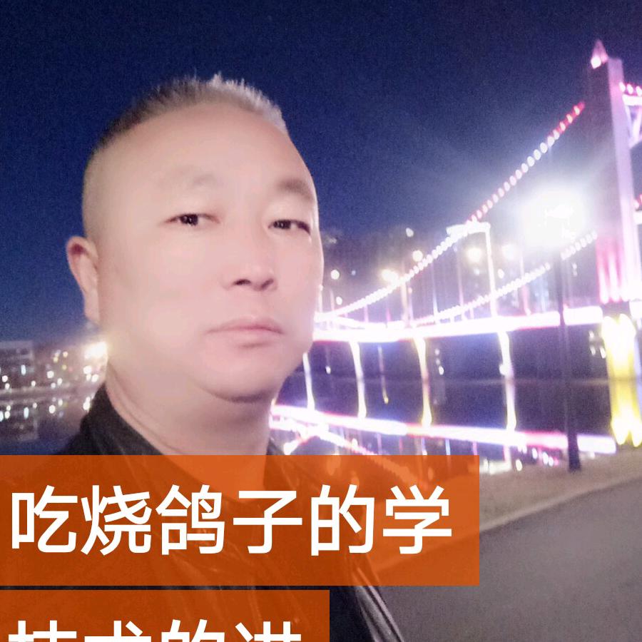 老民烧鸽子