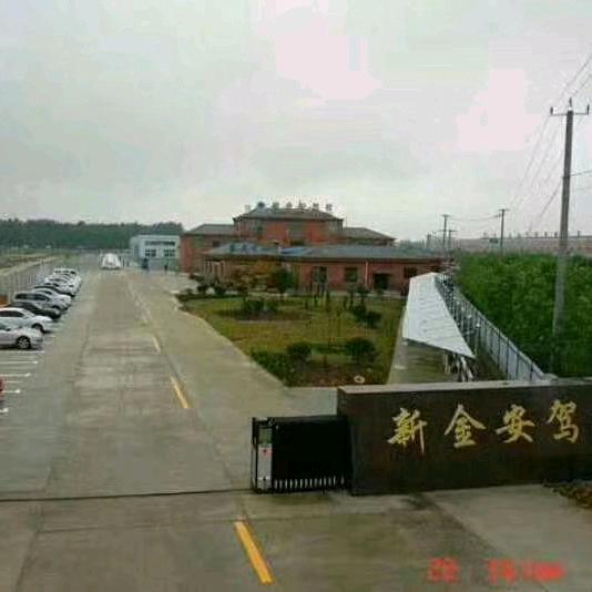 新金安许教练