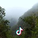 泡泡