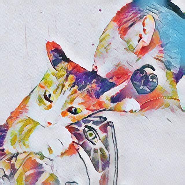 百猫户～十三